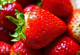 Strawberry 01